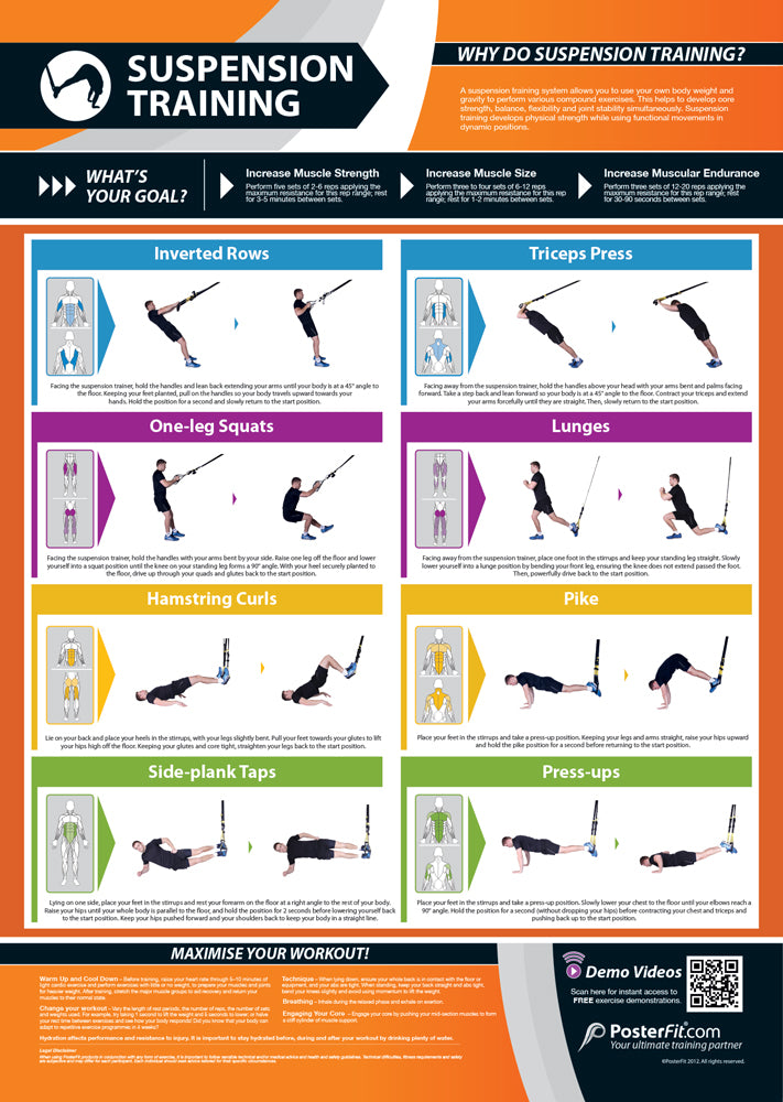 Shoulders Exercise | Full Workout Improves Strength Training | Laminated  Gym and Home Poster | Includes Online Video Training Support | Size - 594mm  x
