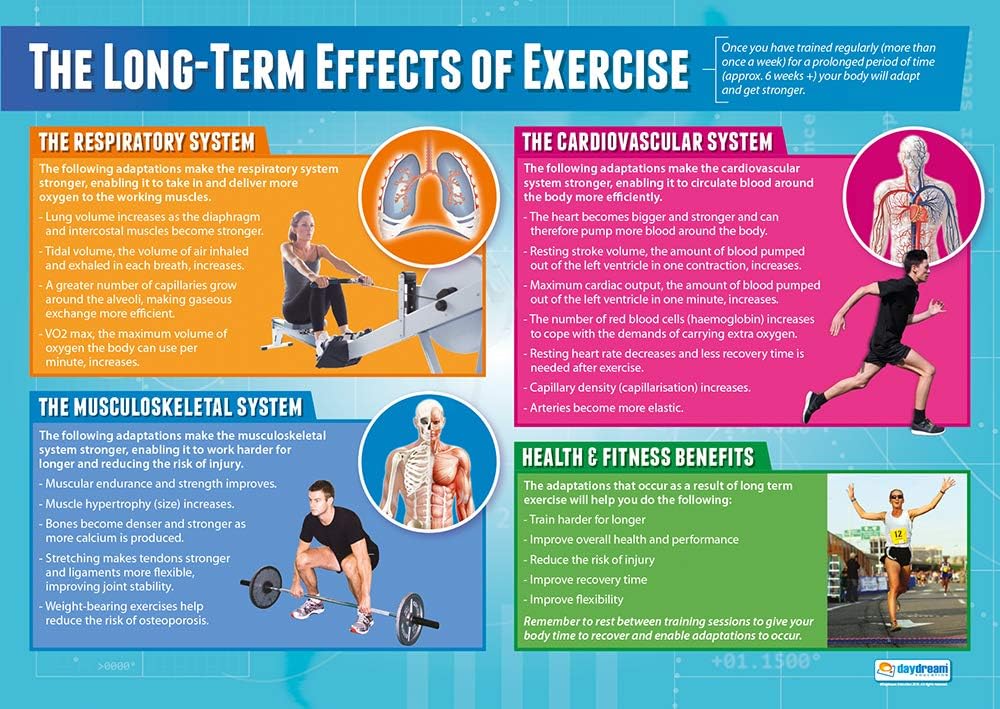 the-long-term-effects-of-exercise-poster-physical-education-poster