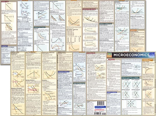 Quickstudy  Microeconomics Laminated Study Guide