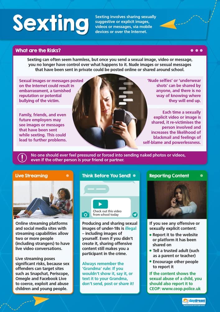 Sexting Poster Online Safety Posters Digital Safety Posters Internet Safety Class Posters 8090
