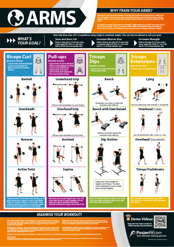 Exercise Posters, Gym & Fitness, Fitness Posters, Exercise Posters, Gym Posters, Physical Education Posters, PE Posters