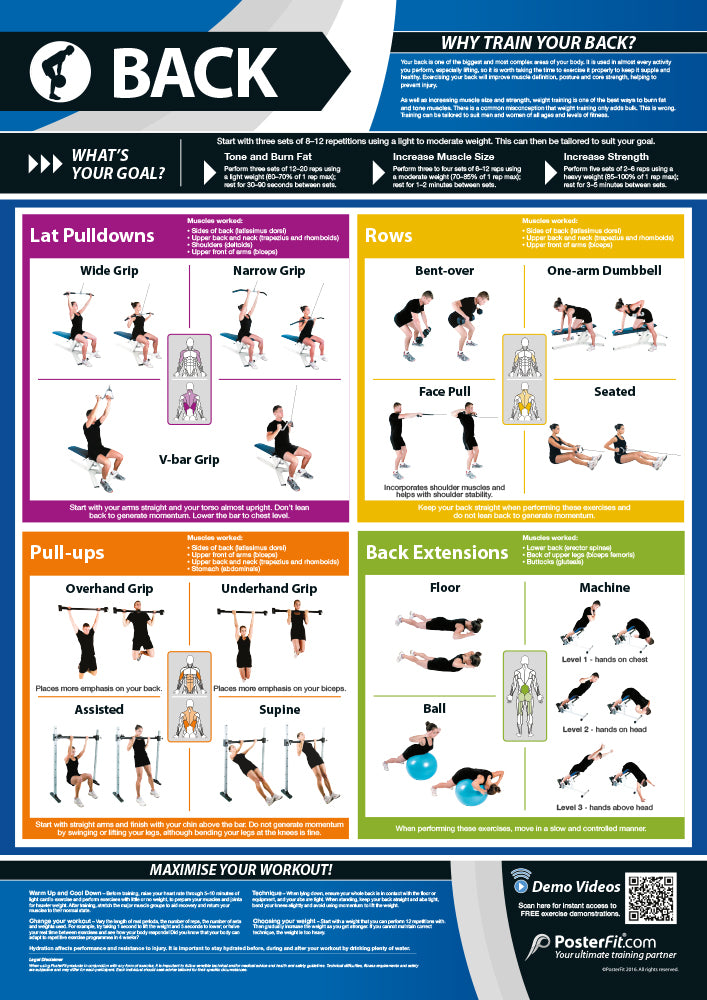 Back Exercise Poster | Gym & Fitness Poster | Physical Education Poster ...