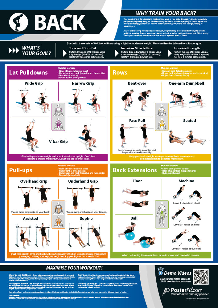 Fitness & Training Essentials Posters, Gym & Fitness, Fitness Posters, Exercise Posters, Gym Posters, Physical Education Posters, PE Posters