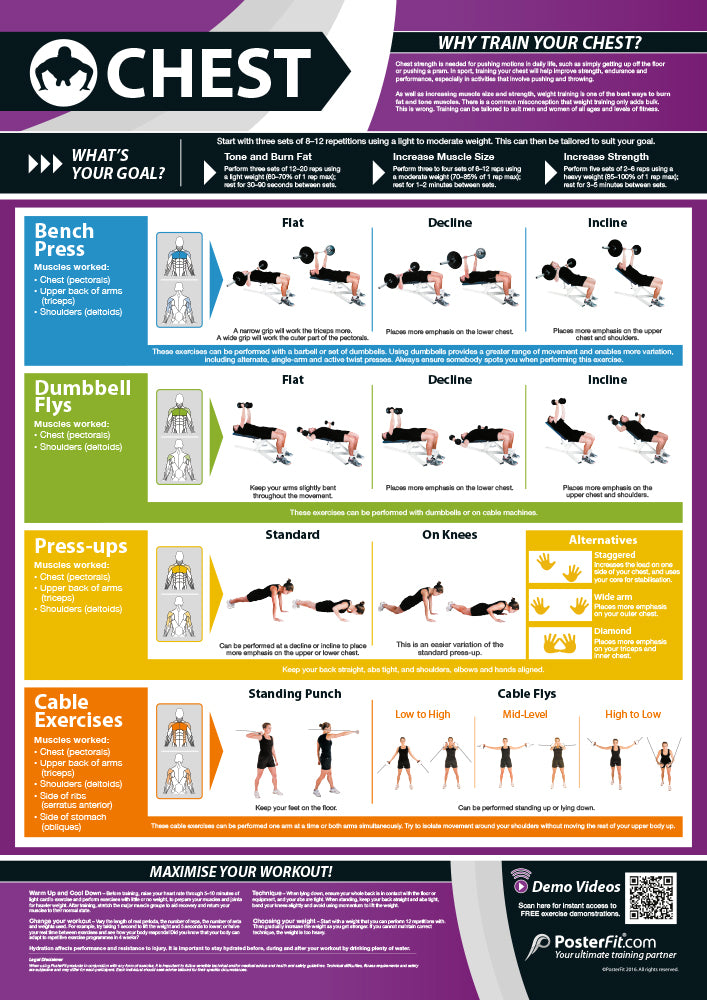 Exercise Posters, Gym & Fitness, Fitness Posters, Exercise Posters, Gym Posters, Physical Education Posters, PE Posters