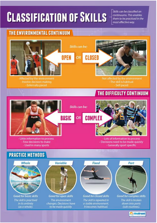 Classification of Skills Poster, Physical Education Poster, PE Poster, Sports Ed Poster, Sport Education Poster, Physical Education Chart, PE Chart, Sports Ed Chart, Sport Education Chart