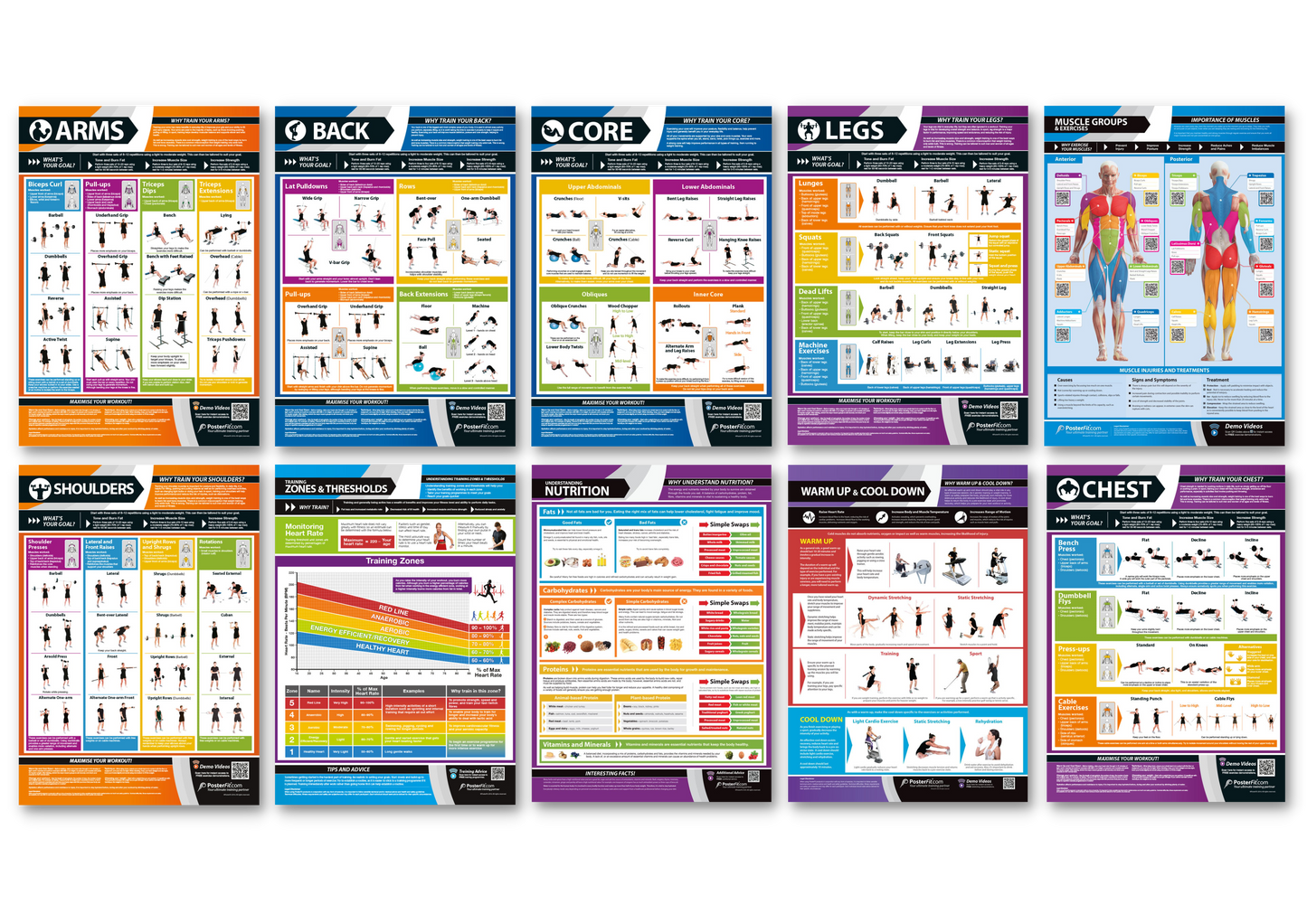 Fitness & Training Essentials Posters, Gym & Fitness, Fitness Posters, Exercise Posters, Gym Posters, Physical Education Posters, PE Posters