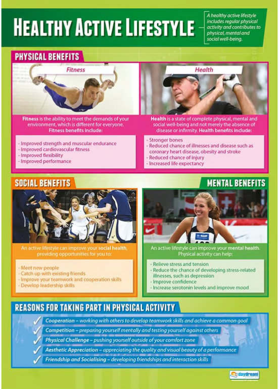 Healthy Active Lifestyle Poster,  Physical Education Poster, PE Poster, Sports Ed Poster, Sport Education Poster, Physical Education Chart, PE Chart, Sports Ed Chart, Sport Education Chart