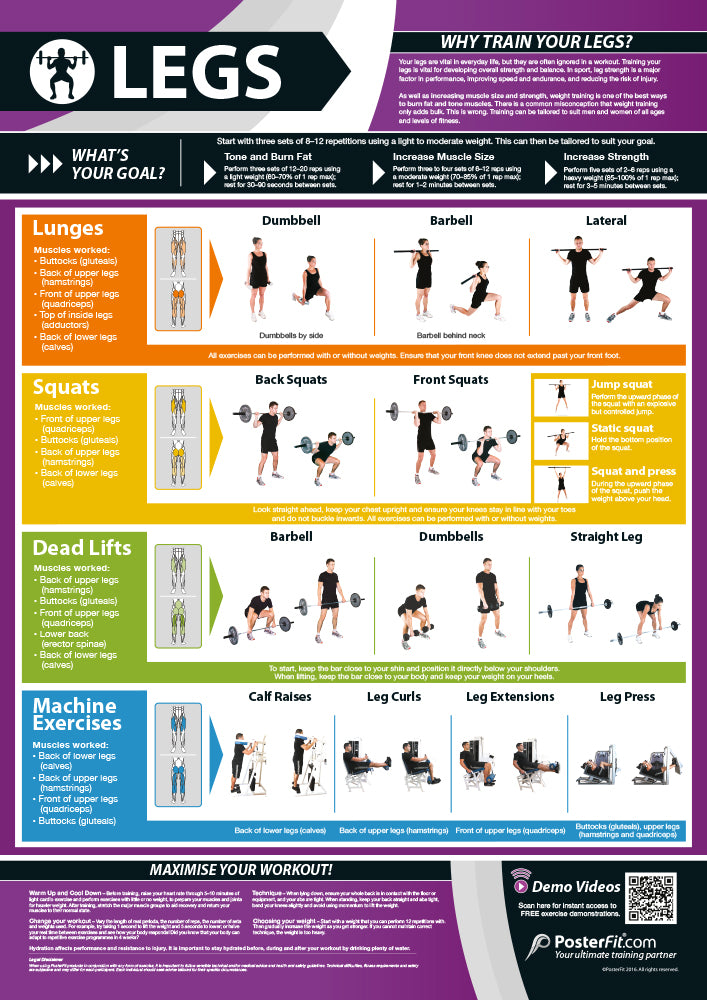 Exercise Posters, Gym & Fitness, Fitness Posters, Exercise Posters, Gym Posters, Physical Education Posters, PE Posters