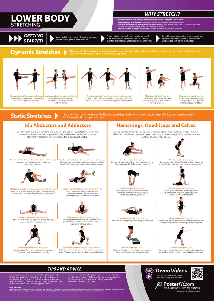  Body Conditioning Posters, Gym & Fitness, Fitness Posters, Exercise Posters, Gym Posters, Physical Education Posters, PE Posters