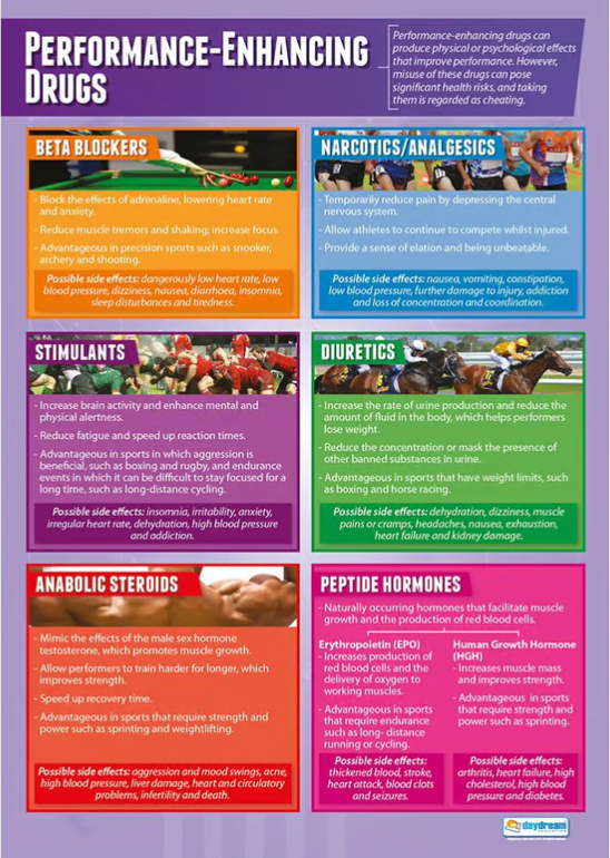 Performance Enhancing Drugs Poster, Physical Education Poster, PE Poster, Sports Ed Poster, Sport Education Poster, Physical Education Chart, PE Chart, Sports Ed Chart, Sport Education Chart