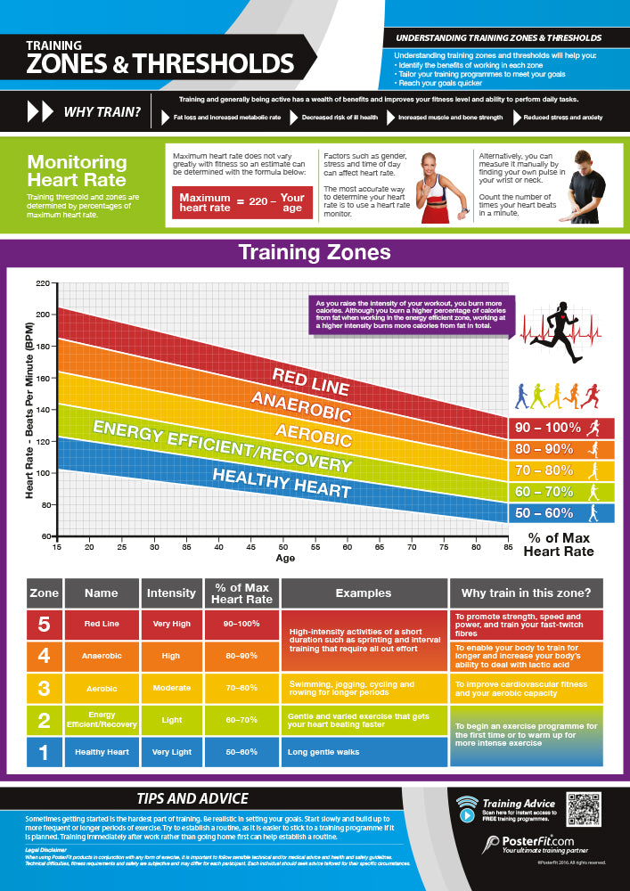 Fitness & Training Essentials Posters, Gym & Fitness, Fitness Posters, Exercise Posters, Gym Posters, Physical Education Posters, PE Posters