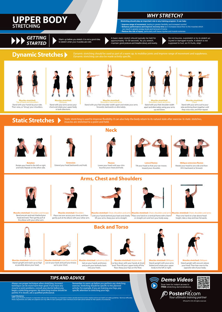  Body Conditioning Posters, Gym & Fitness, Fitness Posters, Exercise Posters, Gym Posters, Physical Education Posters, PE Posters